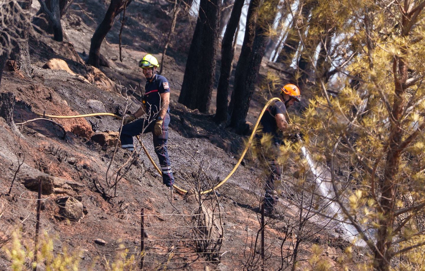 2.550 hectáreas cubiertas en el Var, el incendio “contenido” a pesar de “muchos puntos calientes” 2.550 hectáreas cubiertas en el Var, el incendio “contenido” a pesar de “muchos puntos calientes”